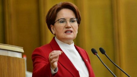 Deva Partisi’nden Meral Akşener’e açık kapı: Diğer alternatiflere açığız