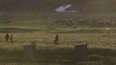 İsveç’in Sami halkının topraklarına karşı yaptığı sömürüye direnişler sürüyor