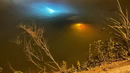 Adana’da Elektrikli Motosiklet Kazası: Bir Meyyit, İki Yaralı