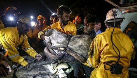 İran’da kömür madeninde facia: 7 meyyit