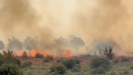 İsrail’de orman yangını