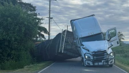 ABD’de tır devrildi: 250 milyon arı firar etti