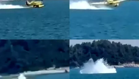 Yangın Söndürme Uçağı Adana’da Düştü, Pilotlar Kurtarıldı