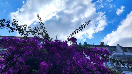 Adana iki gün yağmurlu, hafta sonu sıcaklık artacak