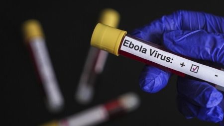 ABD’den Ebola uyarısı: Tarihin en ölümcül düzeyine ulaşabilir